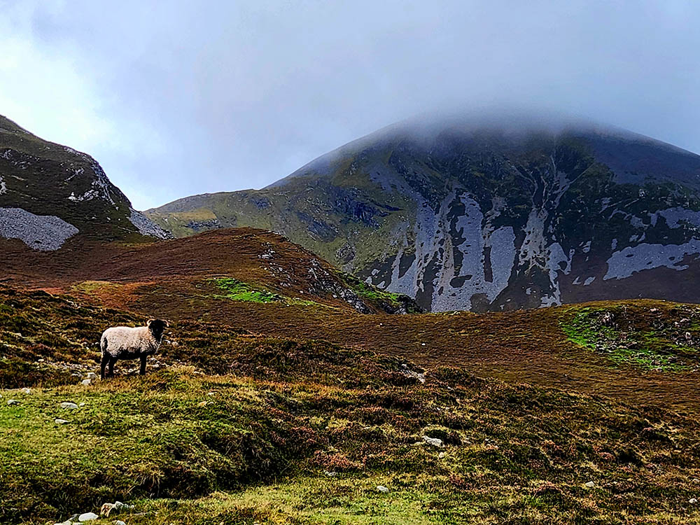 Croagh patrick on sale